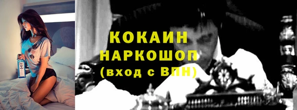 стаф Волосово