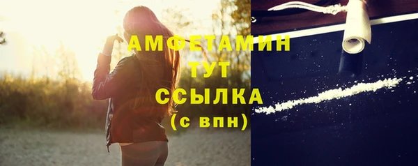 стаф Волосово