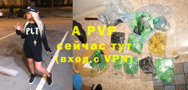 стаф Волосово