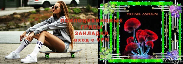стаф Волосово