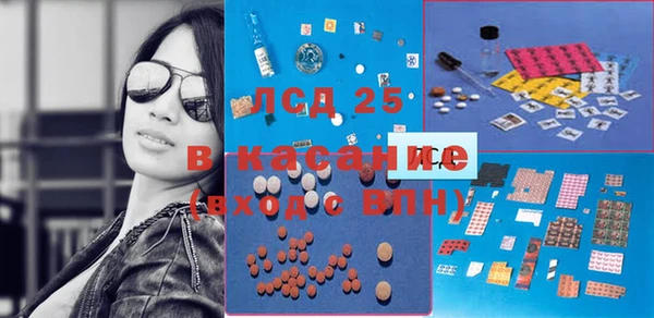стаф Волосово