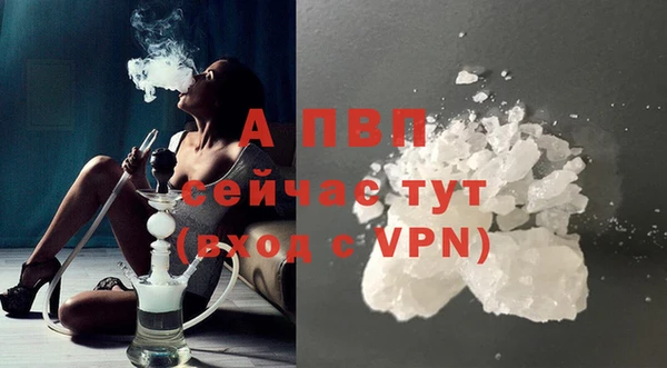 стаф Волосово
