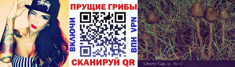 даркнет сайт  Красноярск  Галлюциногенные грибы Psilocybine cubensis 